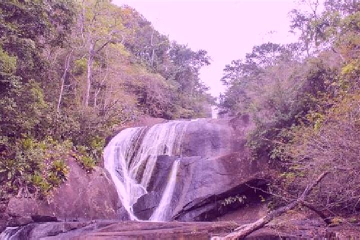 Layla, 27 — Escort in Sierra Imataca, Venezuela