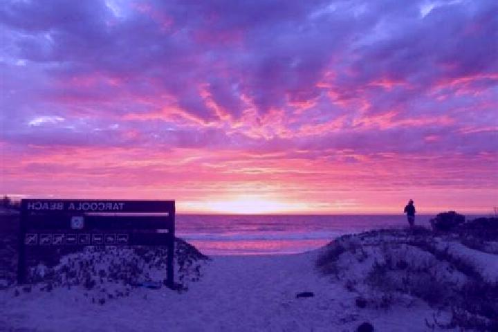 Layla, 27 — Escort in Tarcoola Beach, Australia