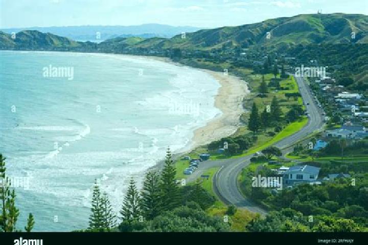 Layla, 27 — Escort in Wainui, New Zealand