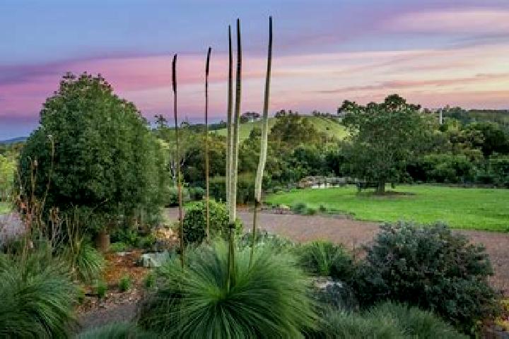 Layla, 27 — Escort in Windsor Gardens, Australia