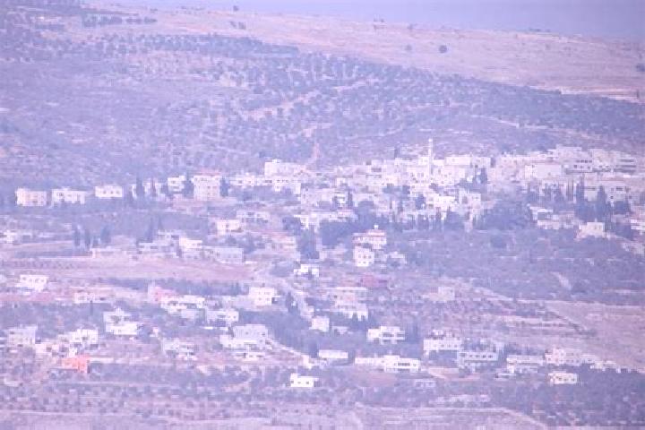 Layla, 27 — Escort in Yasid, Palestine