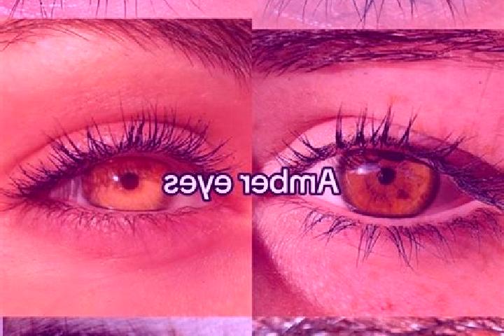 Layla, 28, a brunette amber-eyed mixed companion based in t Harde. Offering Fetish, BDSM, Deep French Kissing, Duos. Available for incall and outcall, overni...