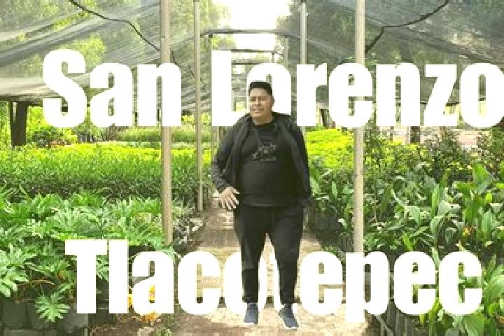 Layla, 28 — Escort in San Lorenzo Tlacotepec, Mexico