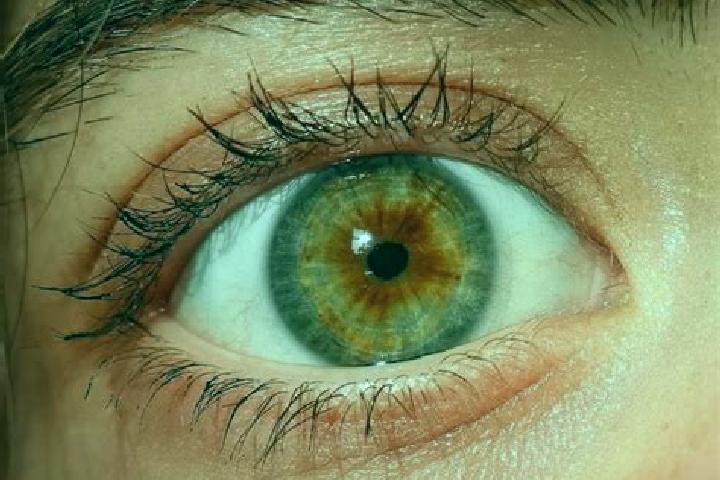 Layla, 29, a red hazel-eyed caribbean companion based in Waroona. Offering Couples, Party Girl, Deep French Kissing. Available for incall and outcall, overni...