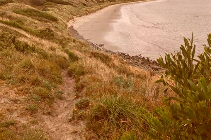 Layla, 29 — Escort in Primrose Sands, Australia