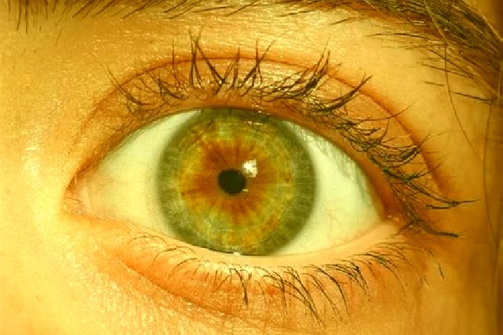 Layla, 30, a red hazel-eyed european companion based in Tolna. Offering Tantra, GFE, OWO, BDSM, Couples. Available for incall and outcall, overnight bookings...