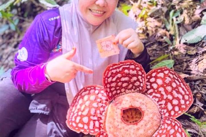 Layla, 30 — Escort in Kampung Bongor, Malaysia