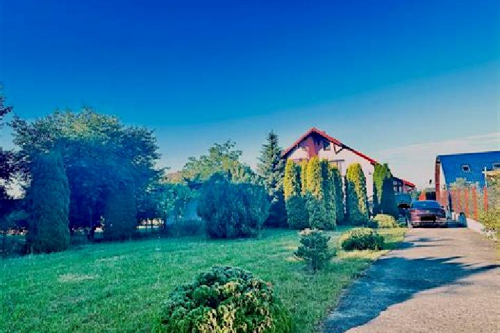 Layla, 30 — Escort in Mediesu Aurit, Romania