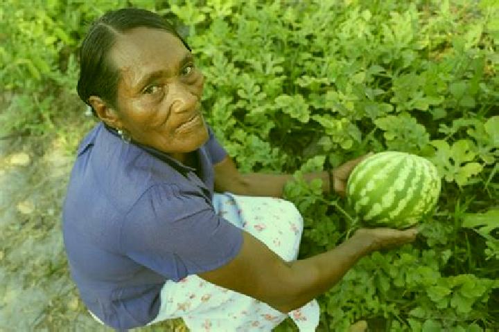 Layla, 30 — Escort in Palkaka, Honduras