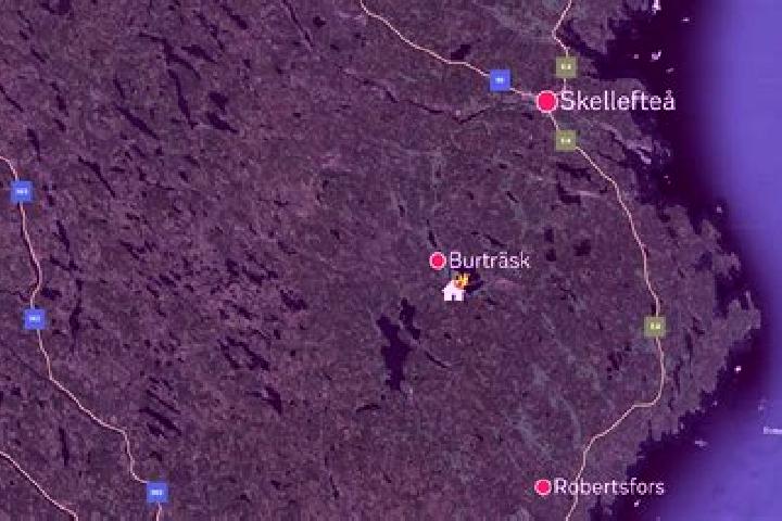Layla, 31 — Escort in Burtraesk, Sweden