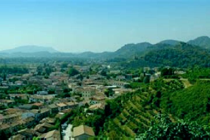 Layla, 31 — Escort in Pieve di Coriano, Italy
