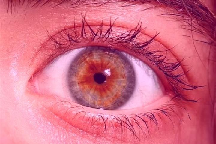 Layla, 32, a red hazel-eyed latina companion based in Bhuban. Offering Deep French Kissing, Fetish, Domination. Available for incall and outcall, day and eve...