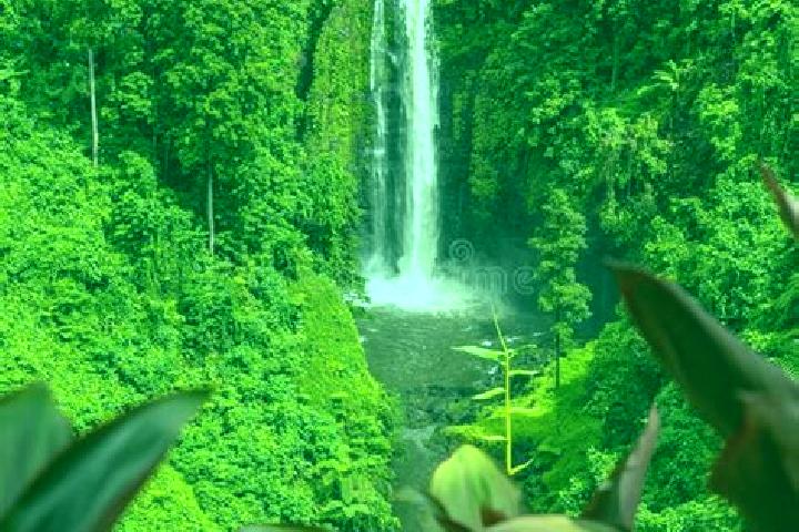 Layla, 32 — Escort in Lotofaga, Samoa