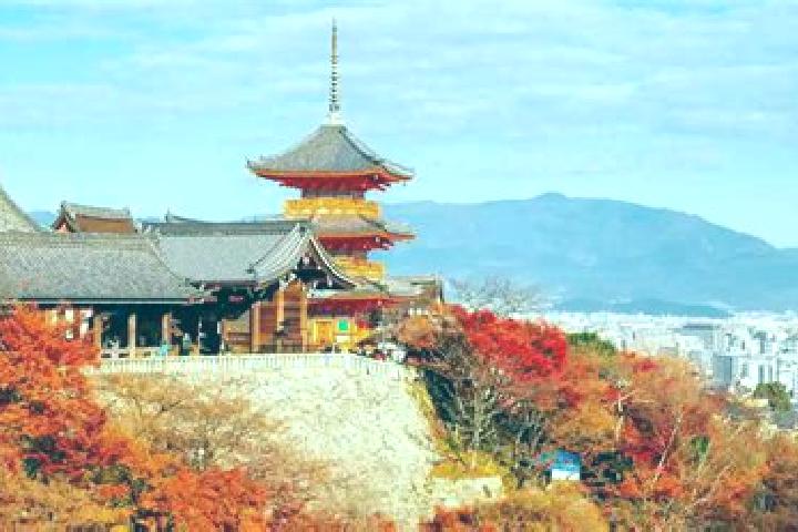 Layla, 32 — Escort in Otawara, Japan