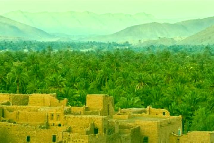 Layla, 32 — Escort in Oued Amlil, Morocco