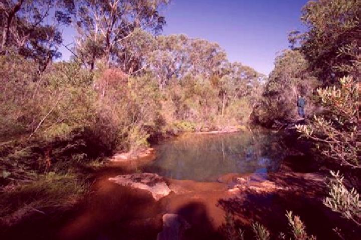 Layla, 32 — Escort in Pheasants Nest, Australia