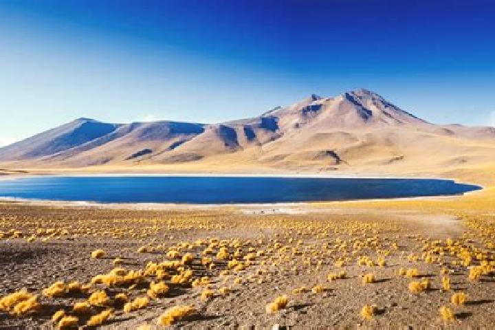 Layla, 32 — Escort in San Pedro de Atacama, Chile
