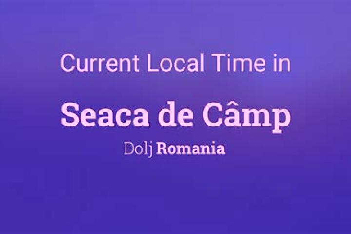 Layla, 32 — Escort in Seaca de Camp, Romania