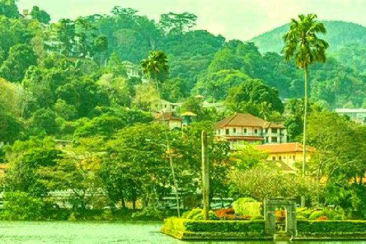 Layla, 33 — Escort in Kandy, Sri Lanka