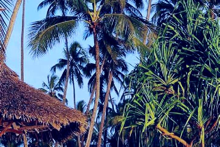 Layla, 33 — Escort in Merelani, Tanzania