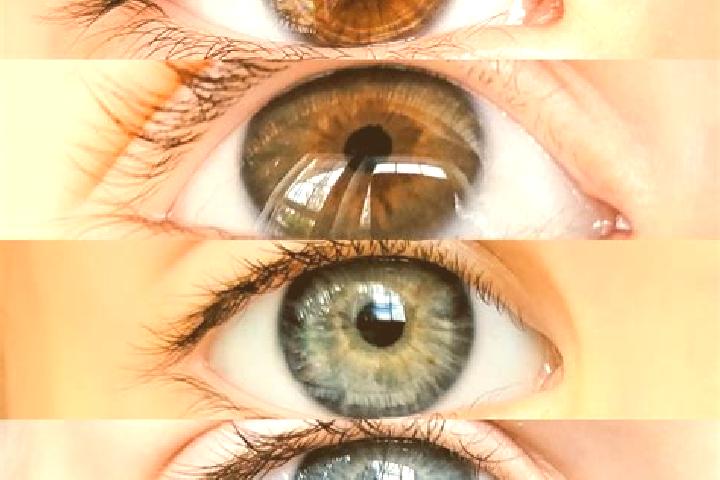 Layla, 34, a chestnut grey-eyed mixed companion based in Corropoli. Offering OWO, Girlfriend Experience, Striptease. Available for incall and outcall, overni...