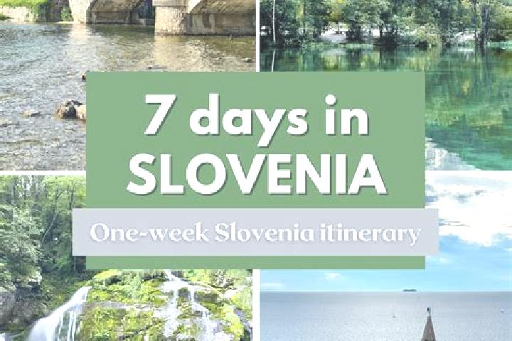 Layla, 34 — Escort in Virmase, Slovenia