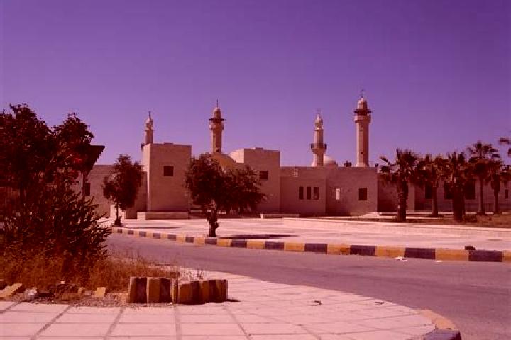 Layla, 35 — Escort in Al Mazar al Janubi, Jordan