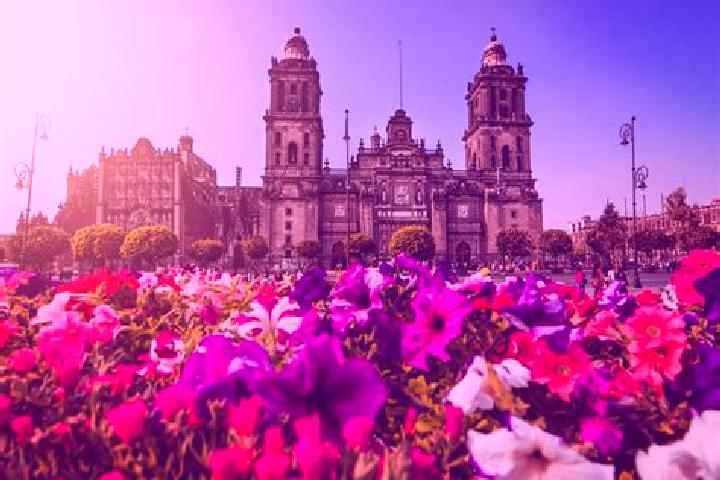 Layla, 35 — Escort in Ciudad Constitucion, Mexico