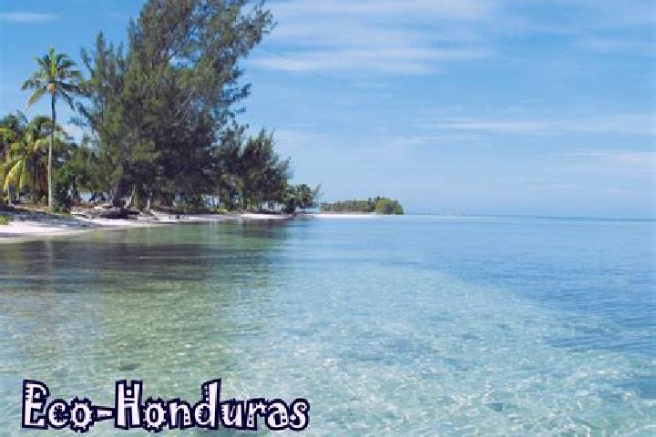 Layla, 35 — Escort in Concordia, Honduras