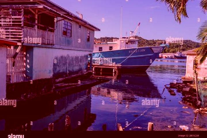 Layla, 35 — Escort in French Harbor, Honduras