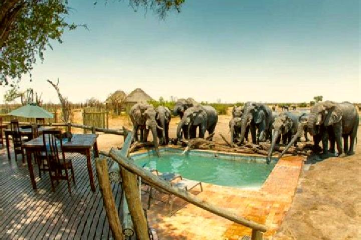Layla, 35 — Escort in Hwange, Zimbabwe