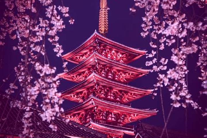 Layla, 35 — Escort in Kosuge, Japan