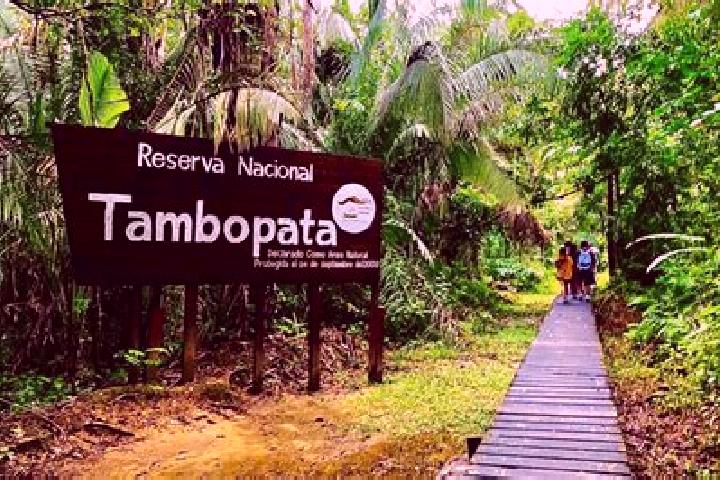 Layla, 35 — Escort in Tambopata, Peru