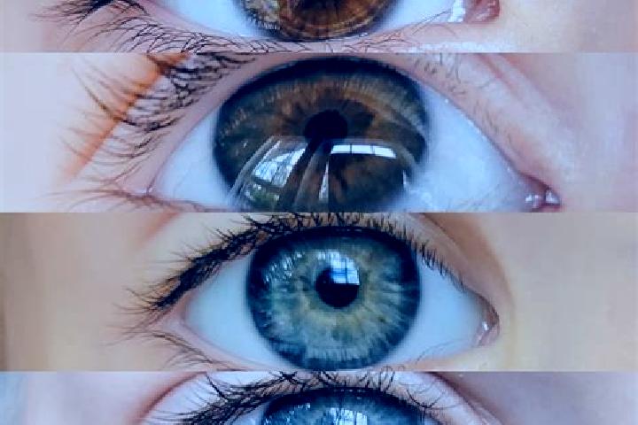 Layla, 36, a chestnut hazel-eyed slavic companion based in Ivrea. Offering Tantra, GFE, Duos, Couples. Available for incall and outcall, overnight bookings a...