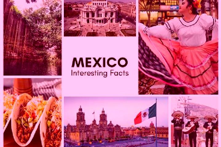 Layla, 36 — Escort in Acuaco, Mexico