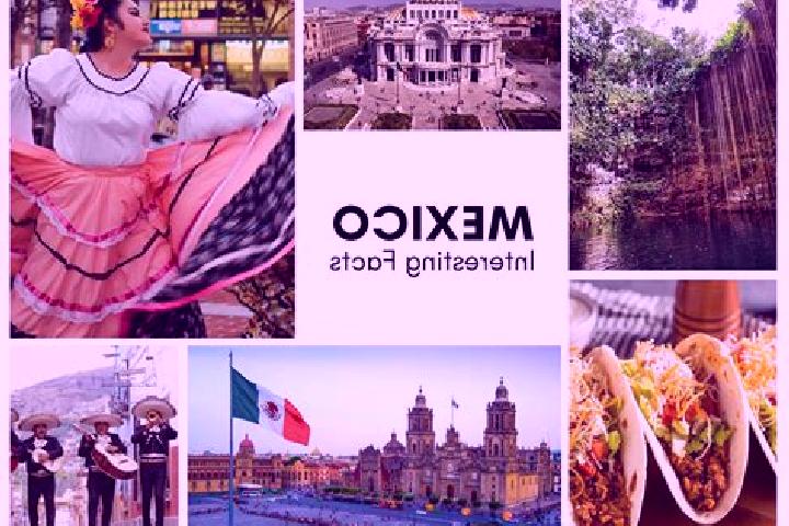 Layla, 36 — Escort in Nuevo Conhuas, Mexico