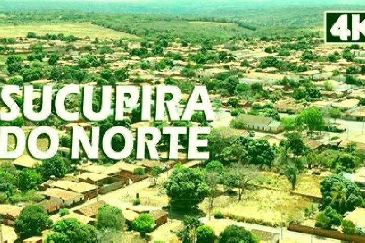 Layla, 36 — Escort in Sucupira do Norte, Brazil