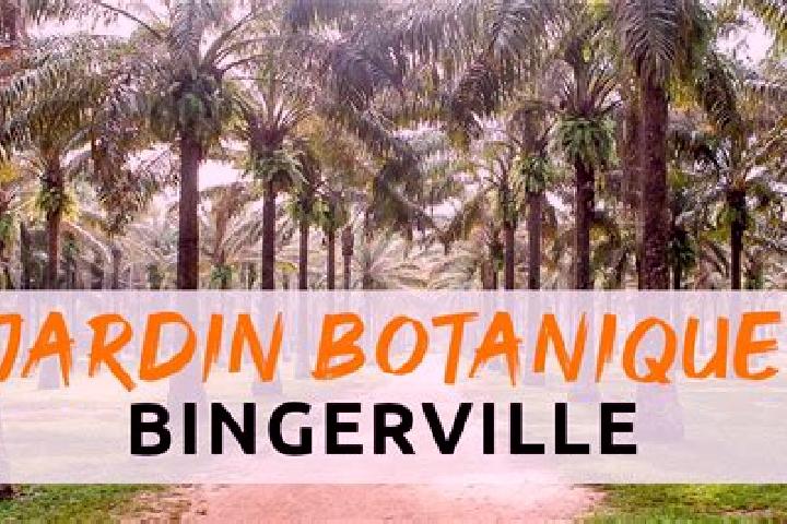 Layla, 37 — Escort in Bingerville, Ivory Coast