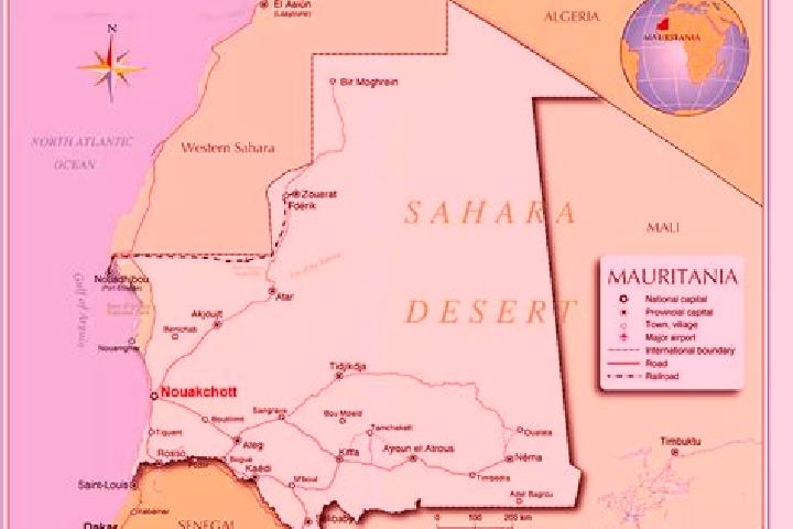 Layla, 37 — Escort in Bogue, Mauritania