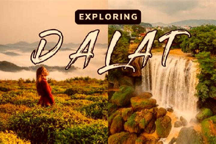 Layla, 37 — Escort in Dalat, Malaysia