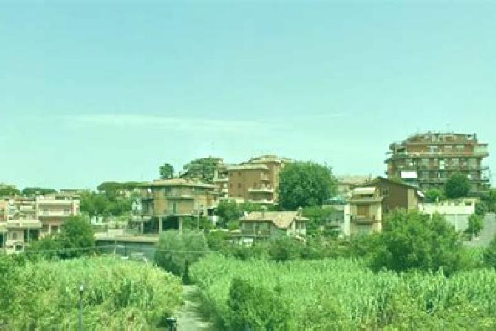 Layla, 37 — Escort in La Massimina-Casal Lumbroso, Italy