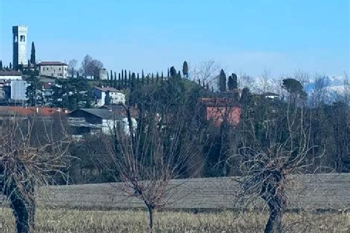 Layla, 37 — Escort in San Vito di Fagagna, Italy