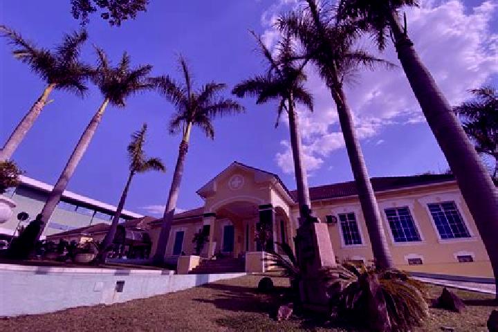 Layla, 37 — Escort in Santo Antonio do Monte, Brazil