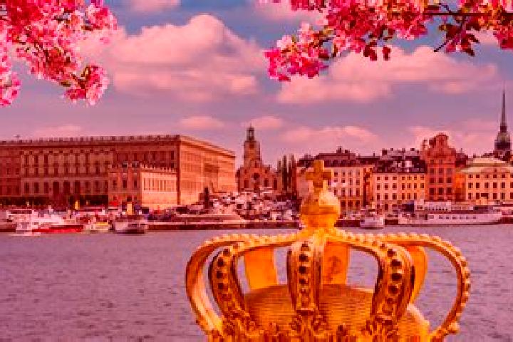 Layla, 37 — Escort in Stockholm, Sweden