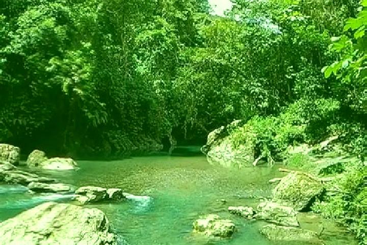 Layla, 38 — Escort in Alcala, Colombia