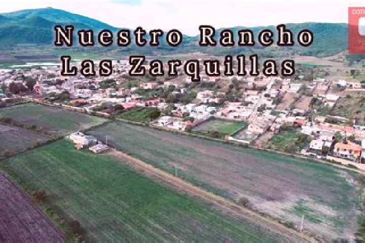 Layla, 38 — Escort in Las Zarquillas, Mexico