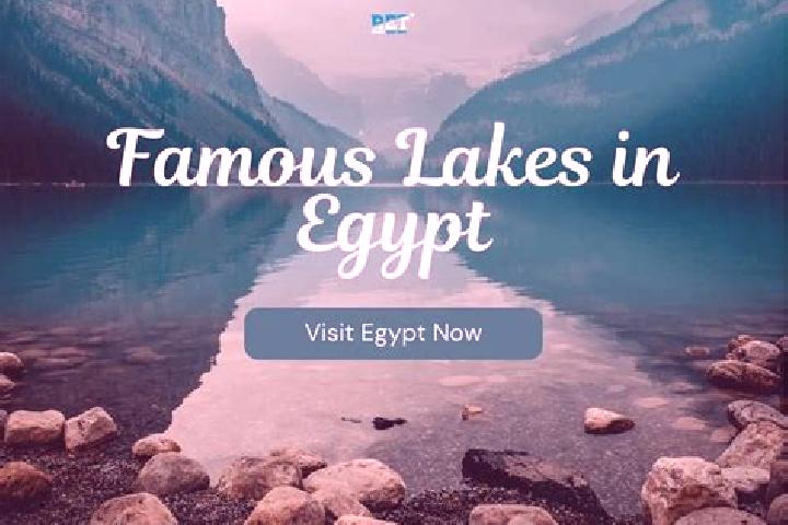 Layla, 38 — Escort in Munuf, Egypt