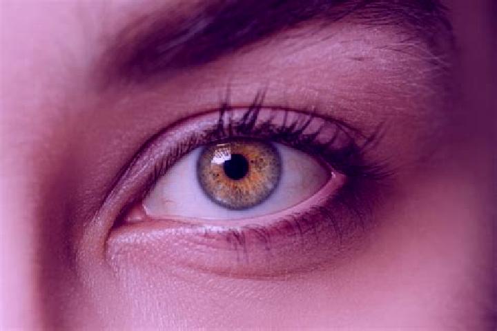 Layla, 39, a chestnut hazel-eyed mixed companion based in Premia. Offering Prostate Massage, Erotic Massage, BDSM, Travel Companion. Available for incall and...