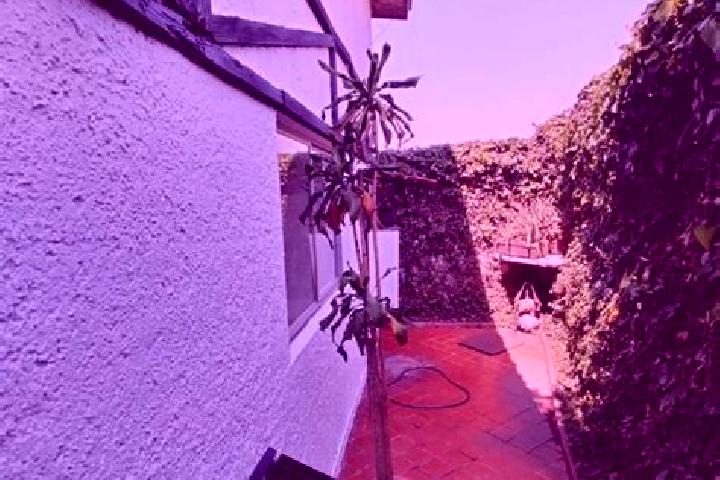 Layla, 39 — Escort in El Cedro, Mexico