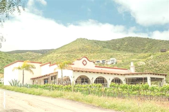 Layla, 39 — Escort in Hacienda Guadalupe, Mexico
